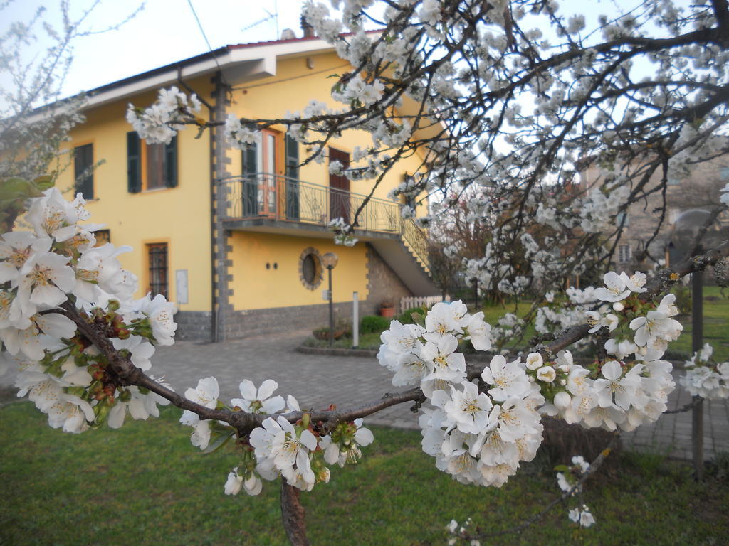 B&B Pervinca Rocca Grimalda Eksteriør billede